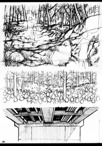 (C77) [Kurodenwa (Tonpu)] Waku no Hoshi (Hoshi no Samidare) [Chinese]