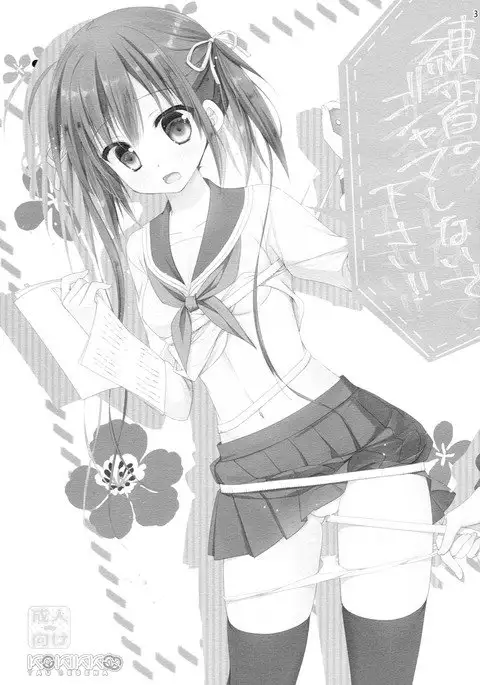 Renshuu no Jama Shinaidekudasai!!