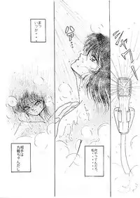 Secret Night (Ranma)