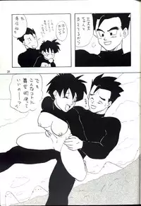 [Chirigami Goya, Fusuma go Ten (Shouji Hariko)] YYY (Dragon Ball)