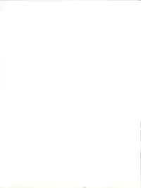 [Tsurikichi Doumei (Various)] Tokimemo Ura (Tokimeki Memorial, Sentimental Graffiti)