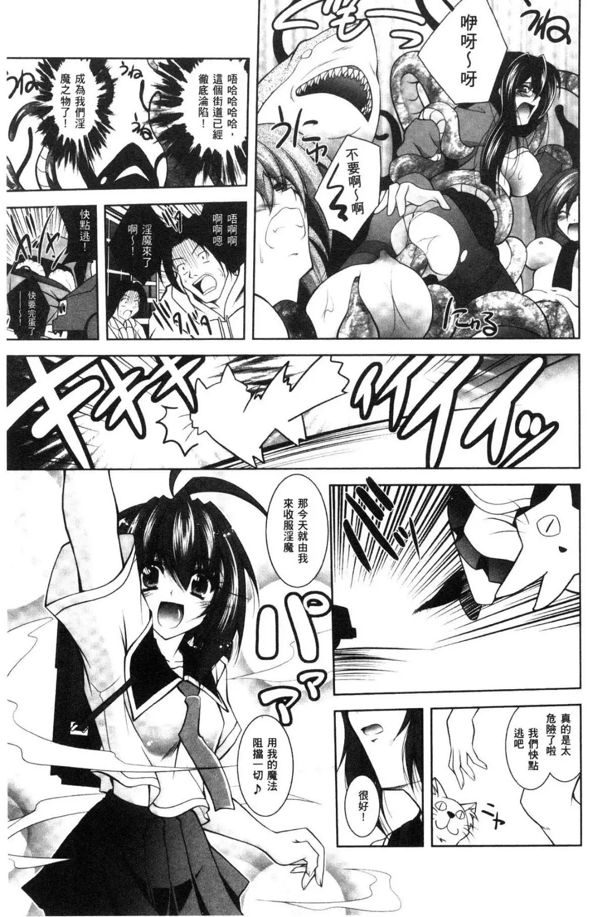 Fallen Justice -Seigi Shittsui-