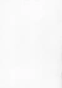 (Puniket 17) [Hired Girl (Equal)] Chibikonumu