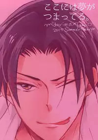 (C88) [Nekoya (Neiko)] Koko ni wa Yume ga Tsumatteru. (Kuroko no Basuke)