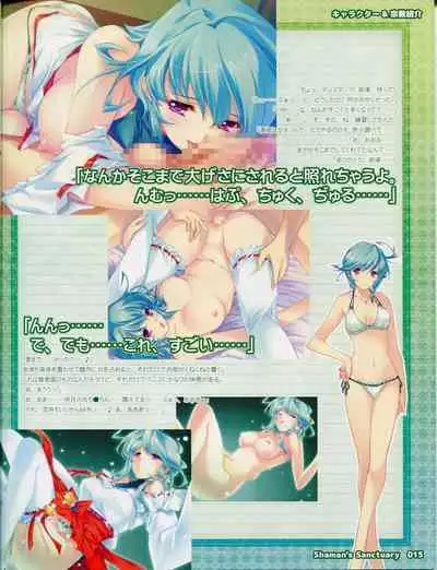 Shaman's Sanctuary -Miko no Seiiki- Booklet Manual