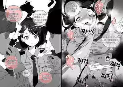 Collection（个人汉化）