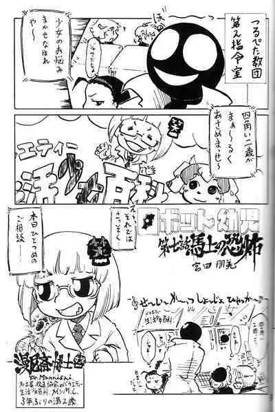 Tsurupeta Kenkyuu Houkokusho 011