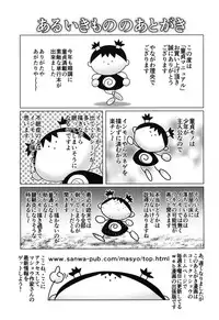 [Yanagawa Rio] Doutei Manual