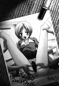 [Barricade Sixth] Decoration Cheese Cake