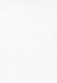 (Puniket 17) [Hired Girl (Equal)] Chibikonumu