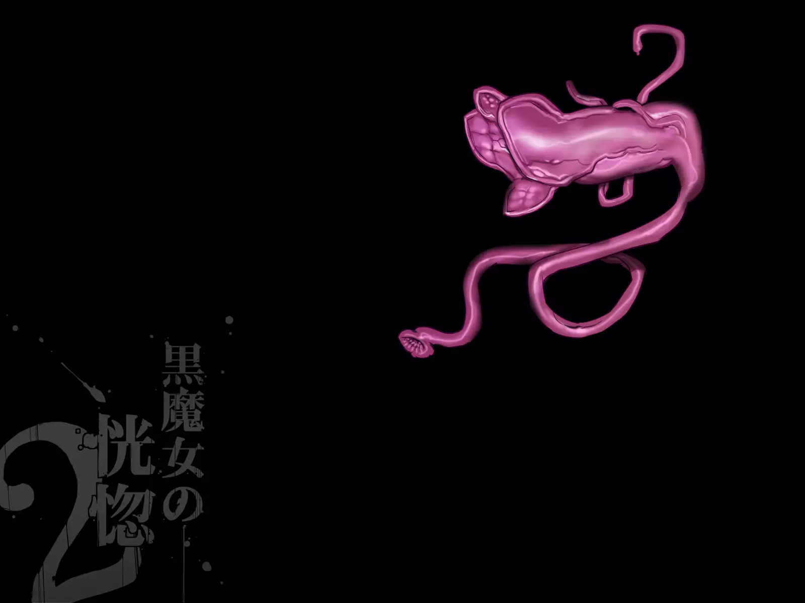 Kuromajo no Koukotsu 2