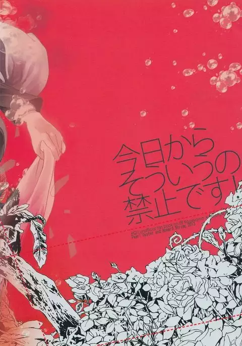 Kyou kara Souiu no Kinsi desu!