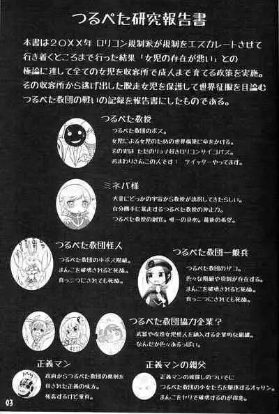 Tsurupeta Kenkyuu Houkokusho 011