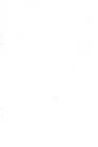 (C65) [T.4.P (Nekogen)] Hina to Yukai na Goshujin-sama.