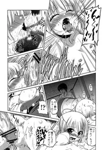 [Sawano Akira] Imoutotachi no H na Himitsu