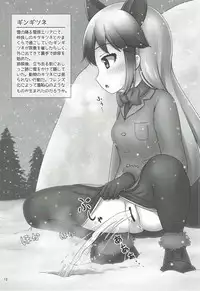 (C92) [Besshun-tei (Arisu Kazumi)] Friends no Oshikko Kansatsuki (Kemono Friends)