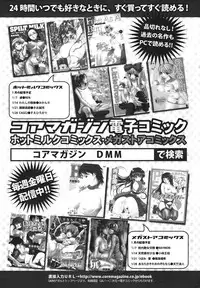 COMIC Megamilk 2011-02 Vol. 08