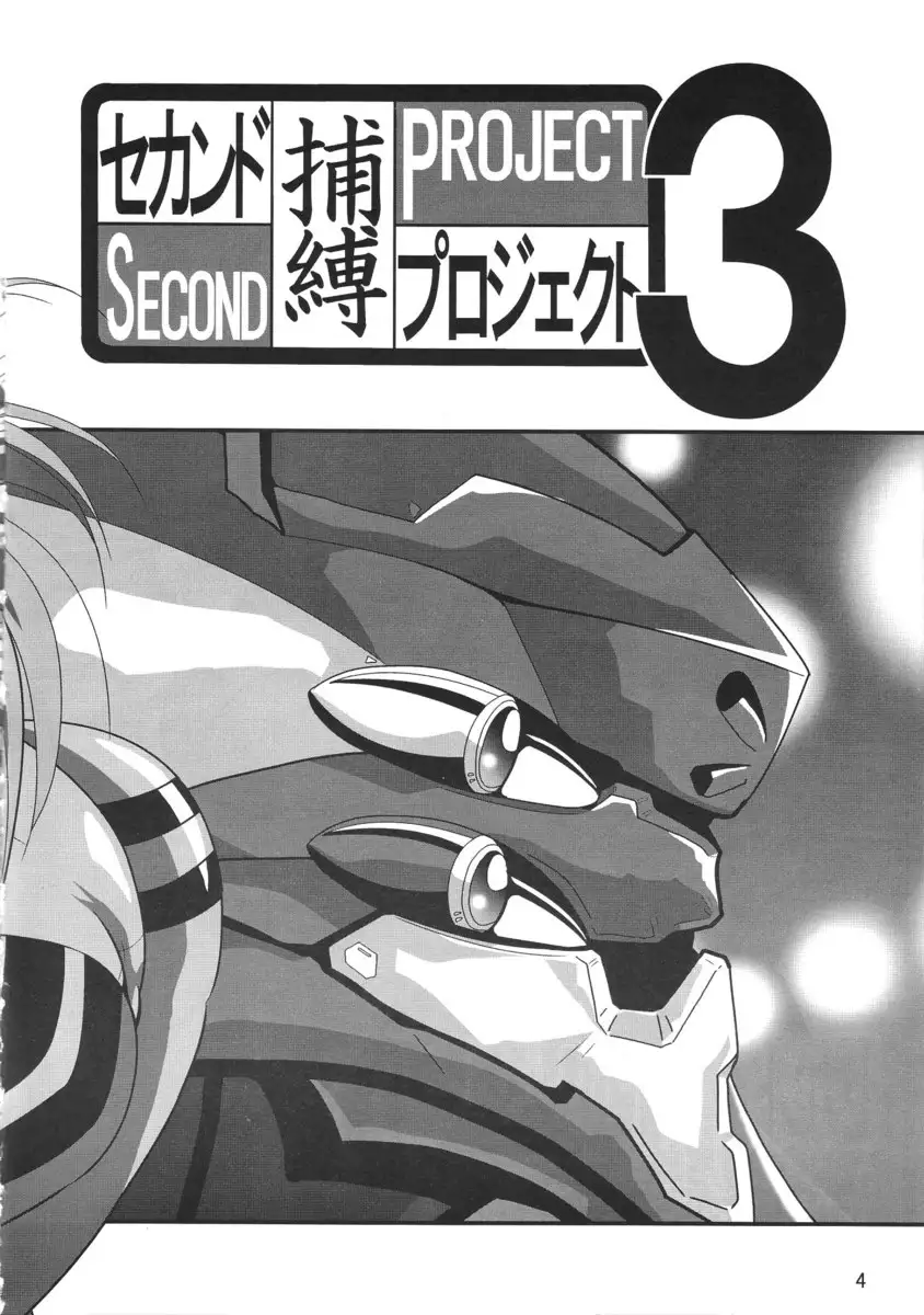 Second Hobaku Project 03