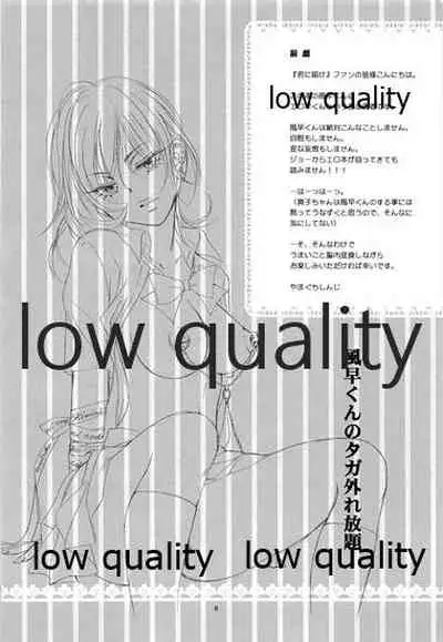 (C80) [Yamaguchirou (Yamaguchi Shinji)] FEEL (Kimi ni Todoke)