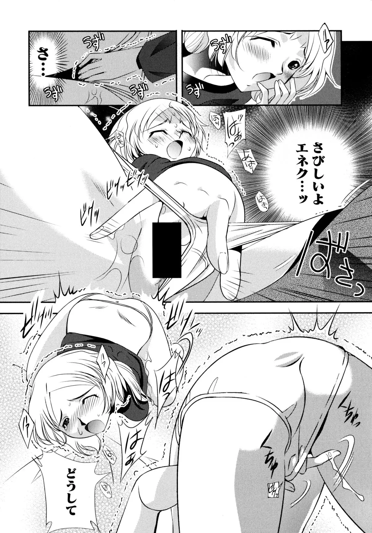 Ookami Musume to Inkou no Tabi