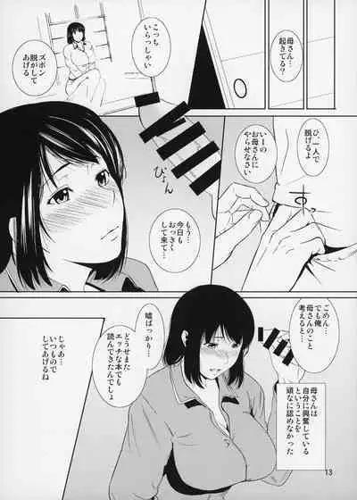 (C87) [Tenguren (Nario)] Boketsu o Horu 14