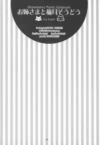 (C73) [ANGELBOX (Hazuki Ruka)] Onee-sama to Nekomimi Soudou (Strawberry Panic!)