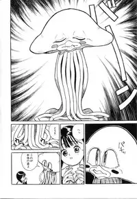 [Rie-chan 14-sai] Akogare Hakusho