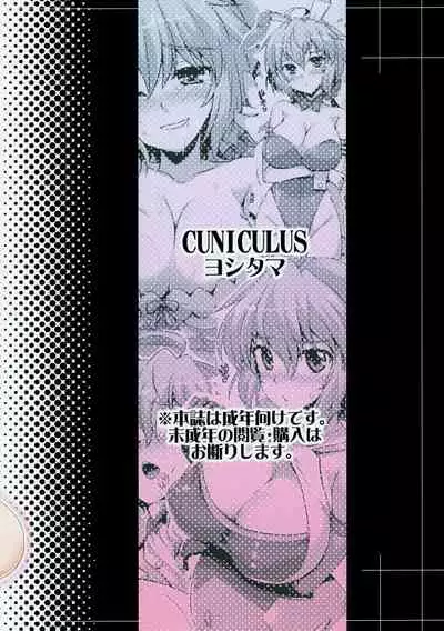 (C95) [CUNICULUS (Yositama)] Suki Suki Chris-chan (Senki Zesshou Symphogear) [English] [desudesu]