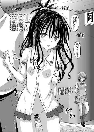 Shoujo Choukyou Kansatsu Kiroku