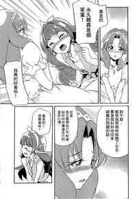 (C89) [OMOIDEHIROBA (Kurose Kousuke)] My Princess My Darling! (Go! Princess PreCure)[Chinese] [大友同好会]