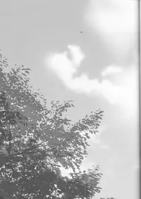 [Gekidan Futari [Yukiruru] Itsuka wa inaku naru kimi e(TIGER & BUNNY)