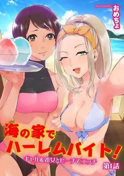 Umi no Ie de Harem Beit! Gal & Shojo to Beach de Ecchi