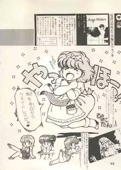 Bishoujo Shoukougun 6