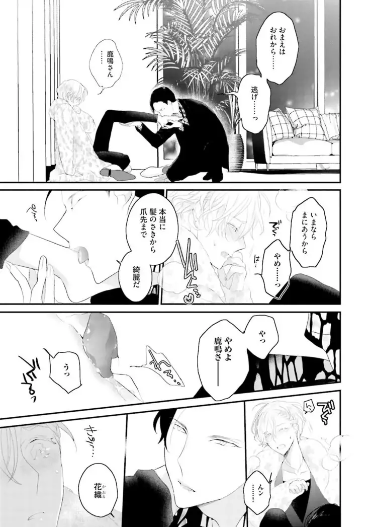 Tennen Jufun Sugar Baby