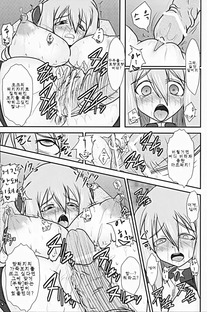 Shield Knight Elsain Vol. 9 SLAVE COLOSSEUM