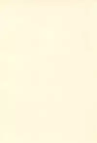 (C67) [Yanasegawabeya (KIYOSE, U-Tom)] LITTLE LOVERS 5