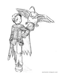 (CCOsaka61) [BOX (Tsukumo Gou)] RAG LAG (Ragnarok Online) [English] {Yaoihaven}