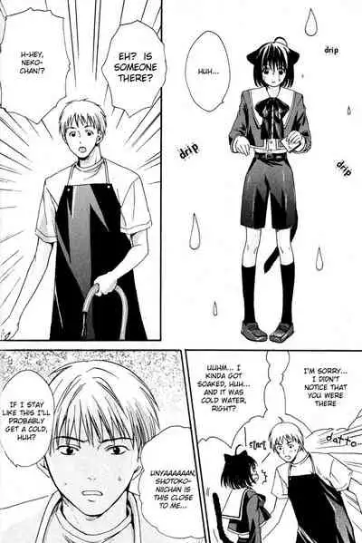 Mimi Paradise Vol. 1