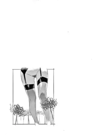 キャラメルボックス