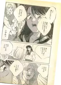 COMIC Papipo Gaiden 1995-11 Vol.17