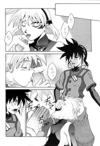 (C61) [BREEZE (Haioku)] R25 Vol.5 V.D.S (Vandread)