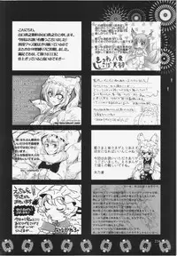 (C84) [Hinaprin, Kitsunenomori (Various)] Dairansai (Touhou Project)