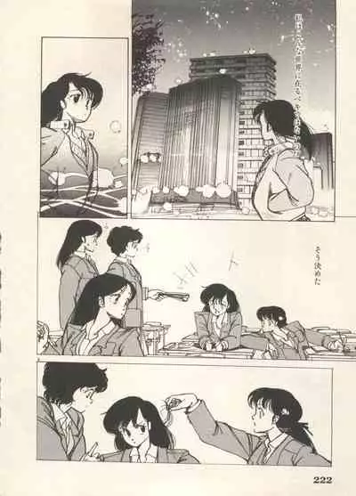 Bishoujo Shoukougun 6