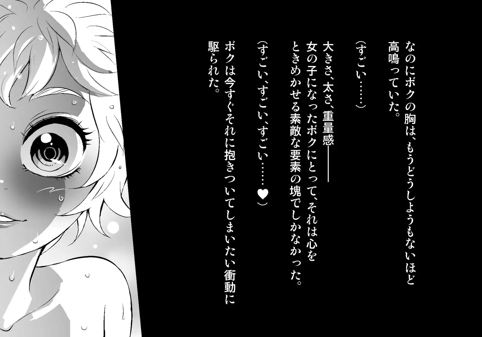 フェアリーセティ