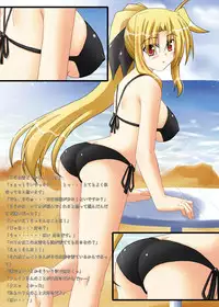 [Recycle (LASK)] ENSNARE (Mahou Shoujo Lyrical Nanoha) [Digital]