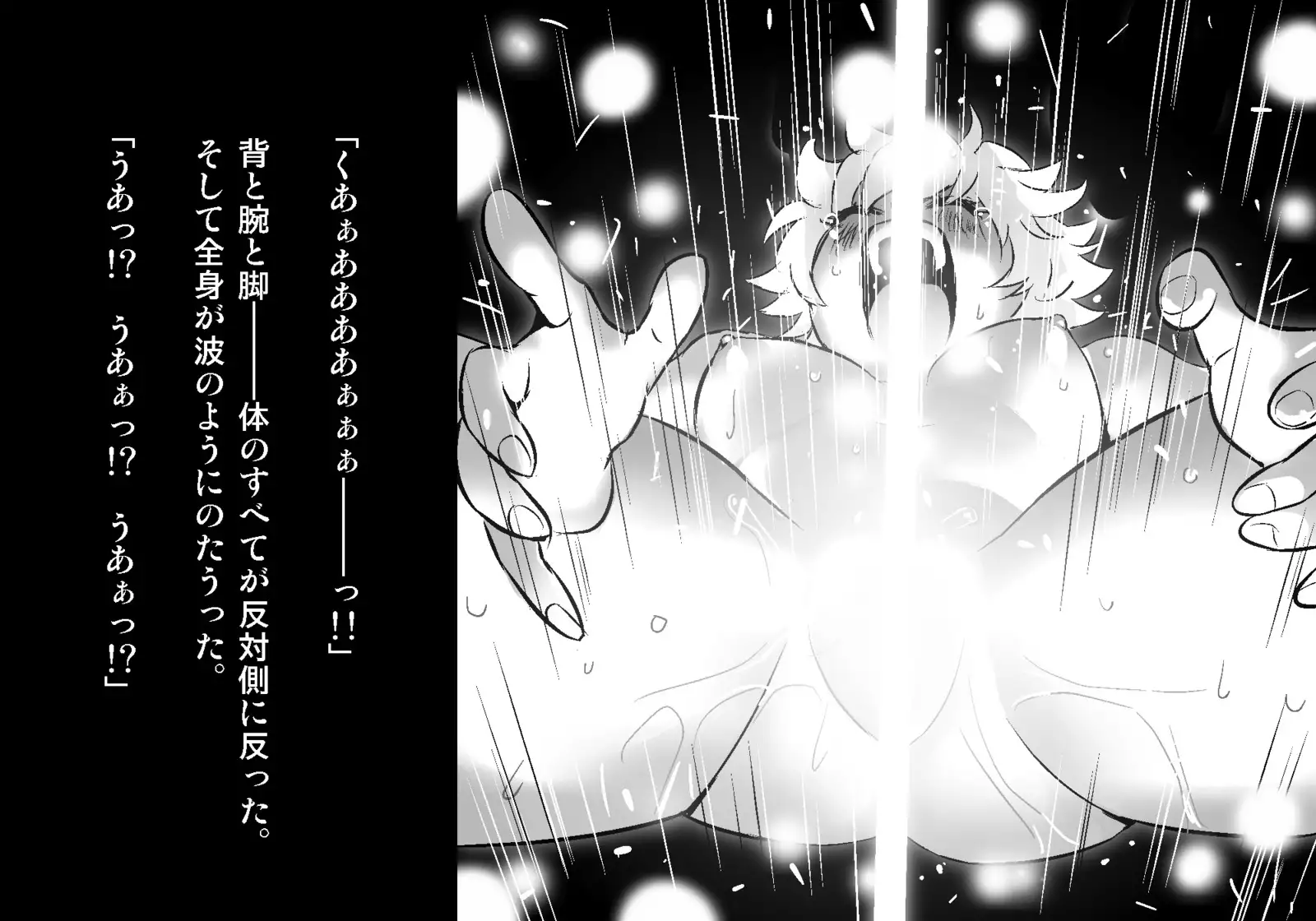 フェアリーセティ