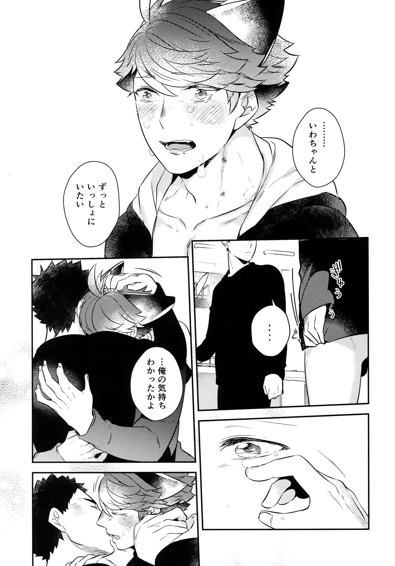 Iwachan no Neko ni Naritai Sairoku-Shuu