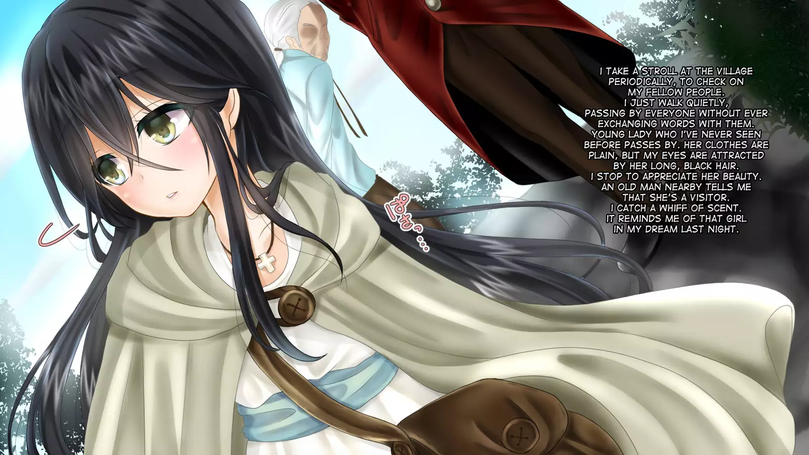 Aru Ryoushu no Nikkichou