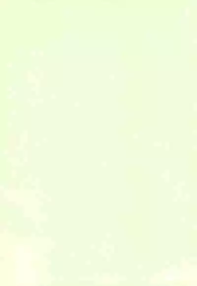 Mijuku!! Hanjuku!! Loli Loli Mori!! 6.5