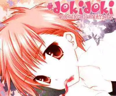 Puchi D VOL. 4 Kemonomimi